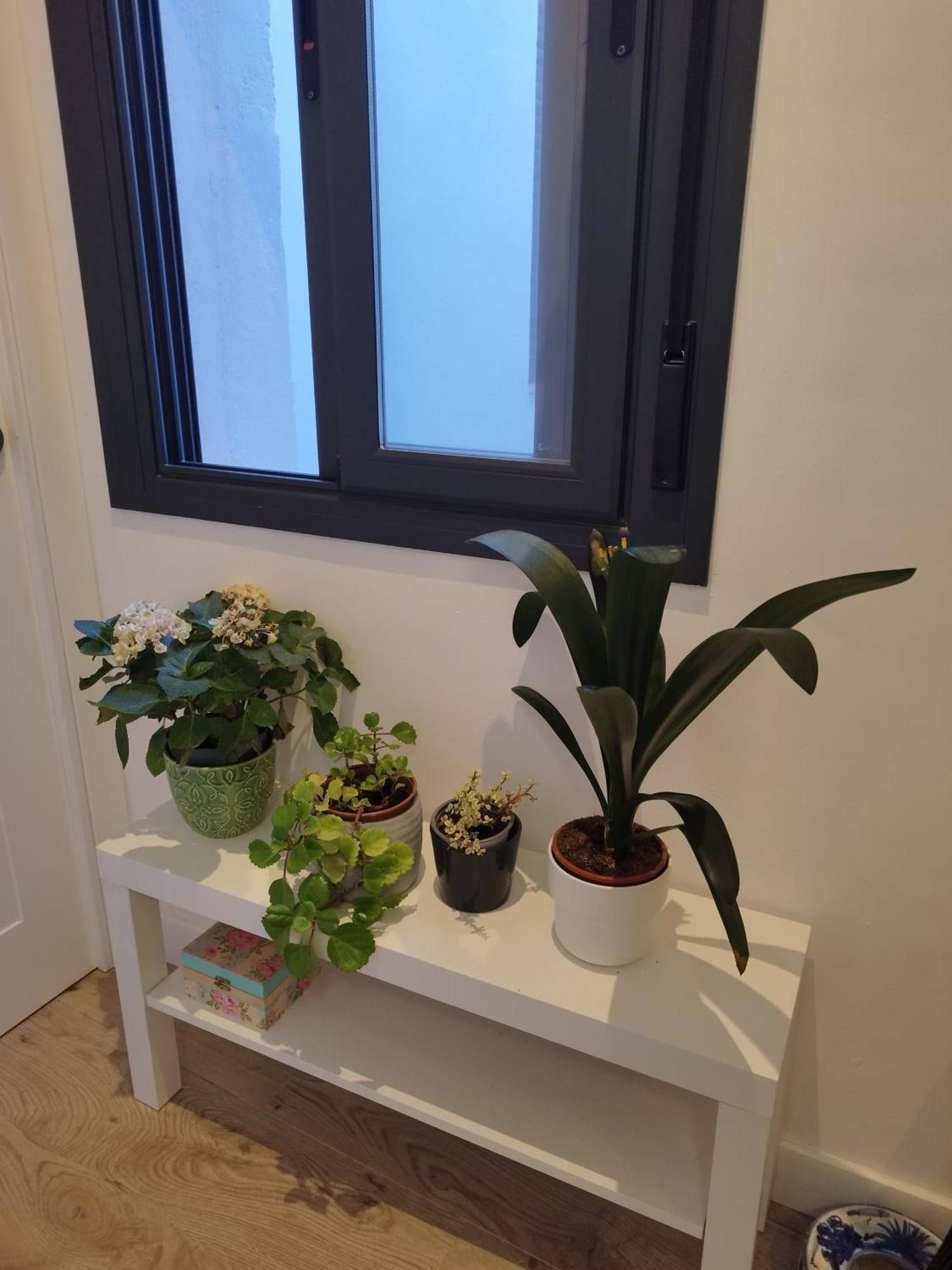 Appartement Calle Pureza Nº59 Sevilla